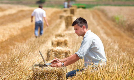 incorporación jovenes agricultores