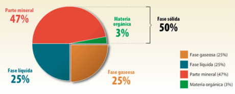 Importancia del suelo