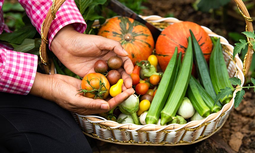 España, líder en producción de alimentos ecológicos