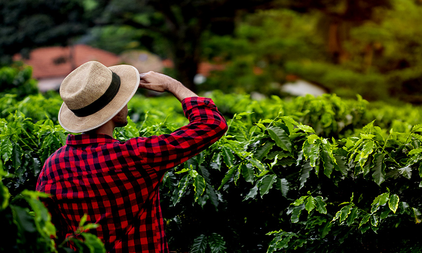 Pasos a seguir tras recibir ayudas a jóvenes agricultores