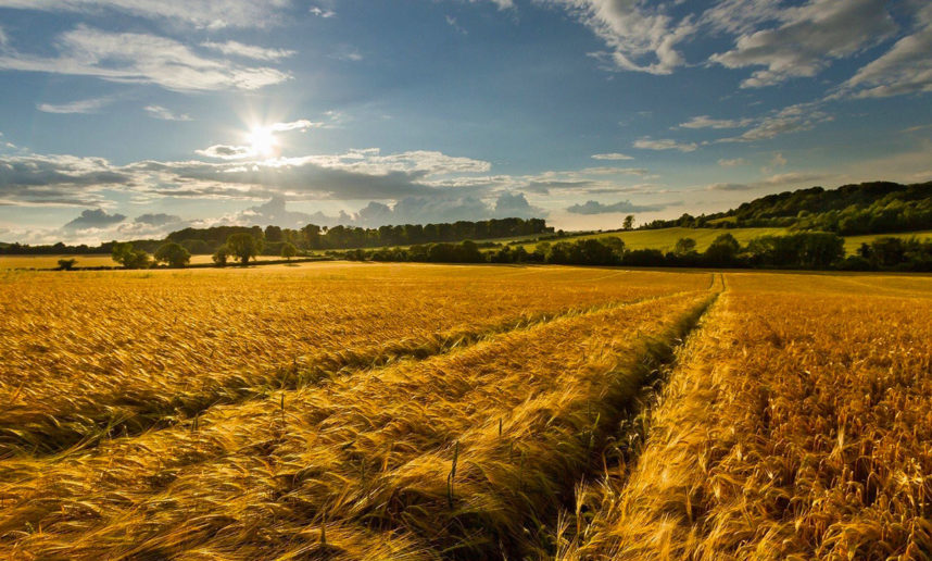 Pagos a la empresa agraria de Castilla-La Mancha