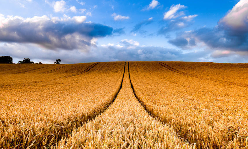 Ayudas a la empresa agraria de Castilla y León