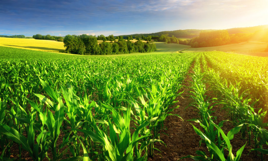 Ofertas en cursos agrarios